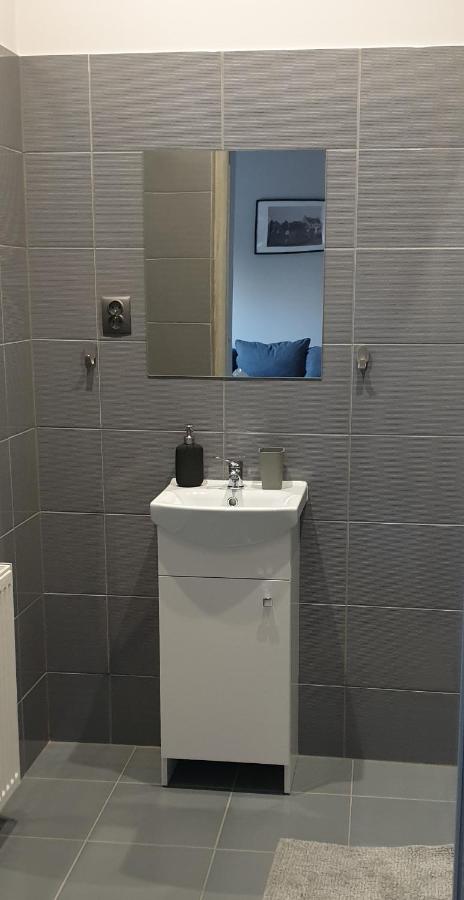 Wadowice Apartamenty Nad Skawa מראה חיצוני תמונה